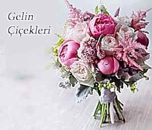 Gelin Çiçekleri