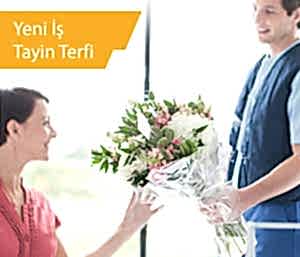 Yeni İş & Terfi