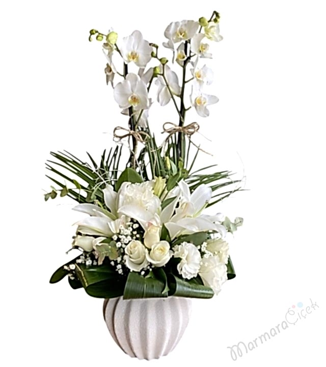 Beyaz Orkide Aranjman