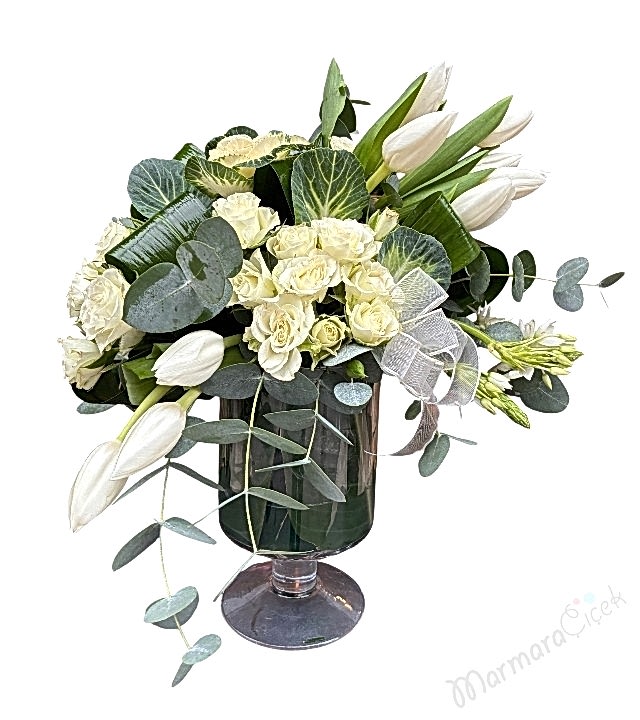 Beyazın Asaleti Aranjman 