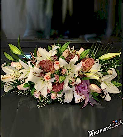 Canlı Masa Çiçeği