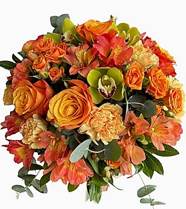 Kış Güneşi Aranjman