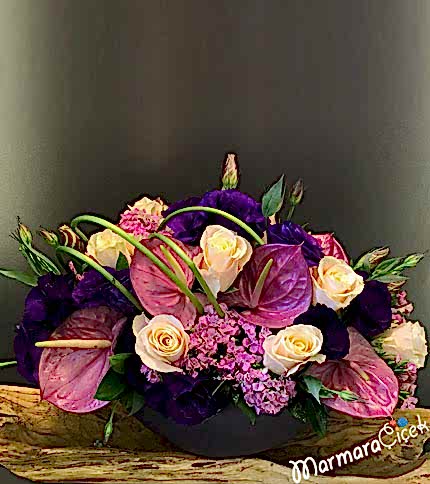 Lila Mor Masa Çiçeği