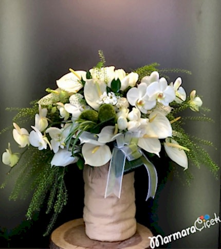 Orkide Antoryum Aranjman