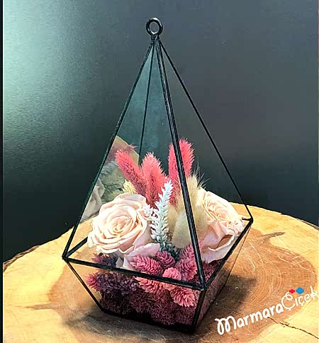 Solmayan Pembe Güller Teraryum