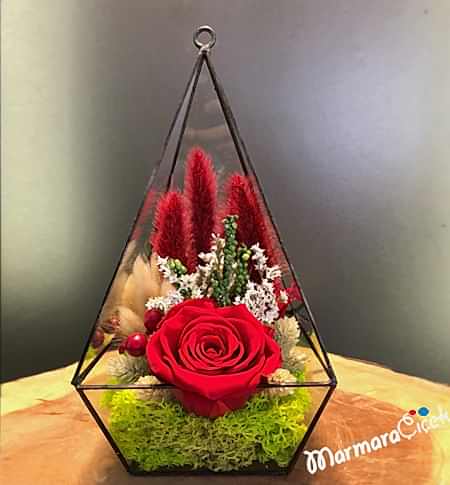 Solmayan Gül Teraryum