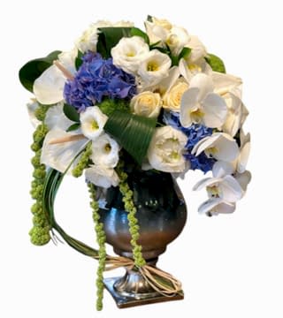 Mavili Nişan Çiçeği