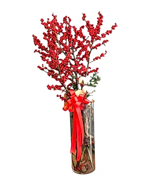 İlex Yılbaşı Çiçeği