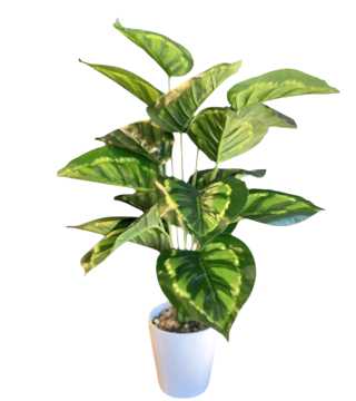 Yapay Calathea Dua Çiçeği