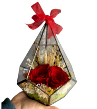 Prizmada Gül Teraryum