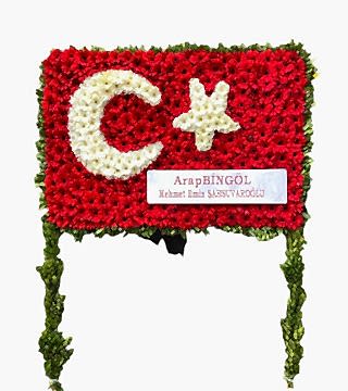 Ay Yıldızlı Tören Panosu