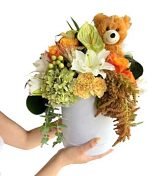 Bebek Doğum Aranjman