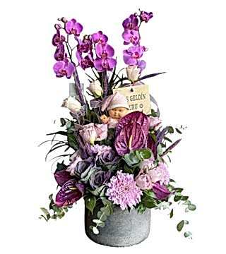 Bebekli Orkide Tasarım Çiçek