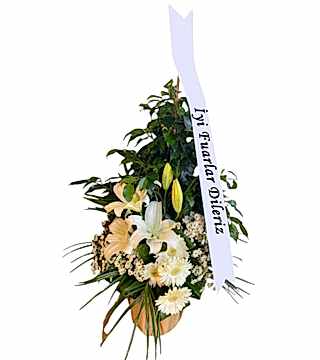 Benjamin Fuar Aranjman