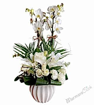 Beyaz Orkide Aranjman
