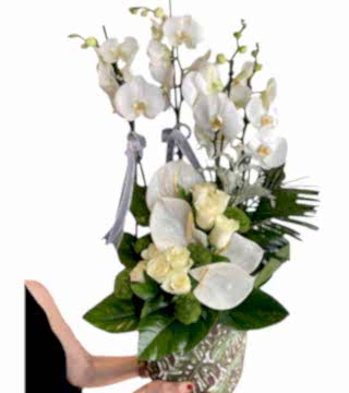 Gül Orkide Aranjmanı