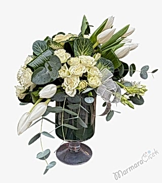 Beyazın Asaleti Aranjman 