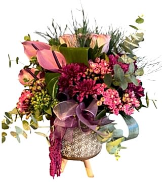 Dekor Saksıda Aranjman