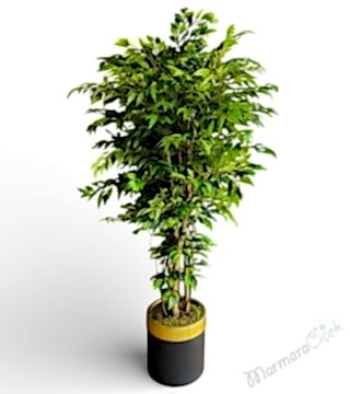 Dekoratif Yapay Ficus Ağacı