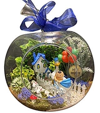 Erkek Bebek Tebrik Teraryumu