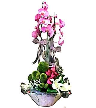 Fuşya Orkideli Aranjman
