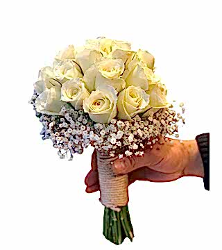 Beyaz Gül Gelin Çiçeği