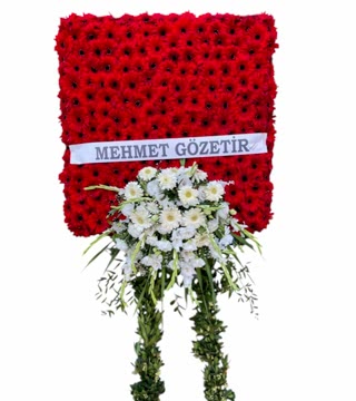 Gösterişli Açılış Panosu 