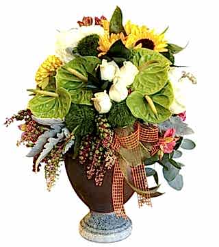 Gösterişli Aranjman