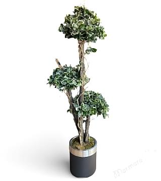 Pittosporum 3’lü Bonsai Yapay Saksı Çiçeği