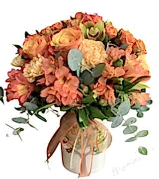 Kış Güneşi Aranjman