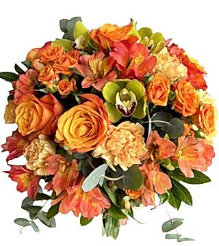 Kış Güneşi Aranjman