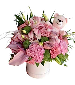 Kız Bebek Doğum Aranjman