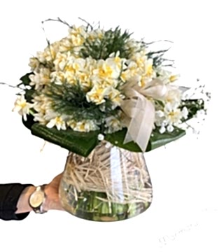 Kokulu Nergis Aranjman