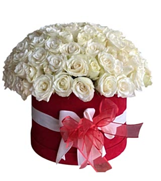 Kutuda 101 Beyaz Gül