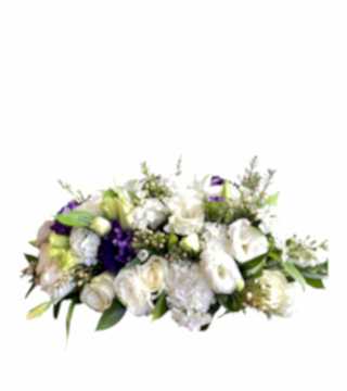 Mor Beyaz Masa Çiçeği