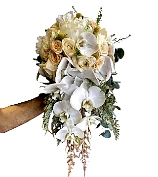 Orkide Gelin Çiçeği