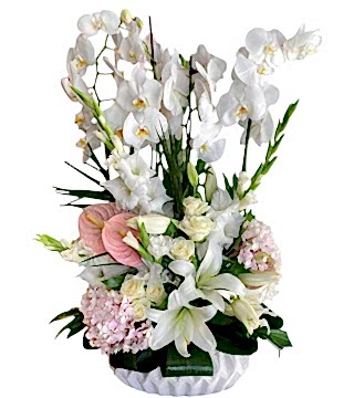 Orkide Tasarım Çiçek