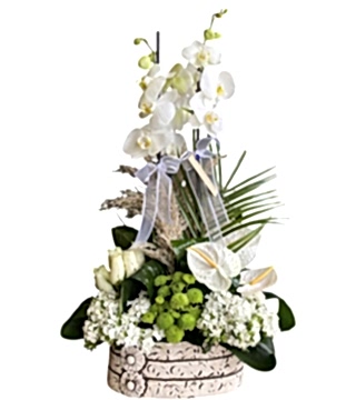 Beyaz Orkideli Aranjman