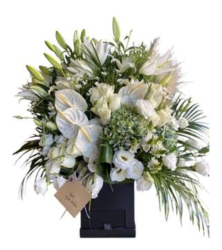 Kutuda Tasarım Beyaz Aranjman 