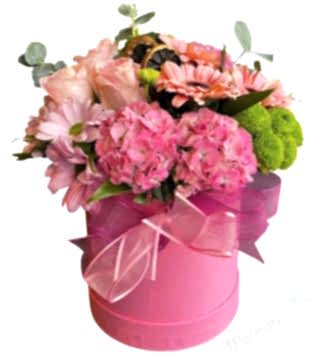 Pembe Tonlarda Kutu Çiçek 