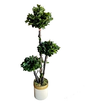 Pittosporum 3’lü Bonsai Yapay Saksı Çiçeği