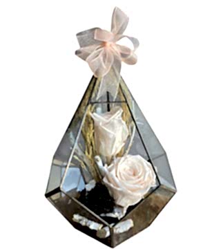 Prizma Camda Somon Solmayan Güller 