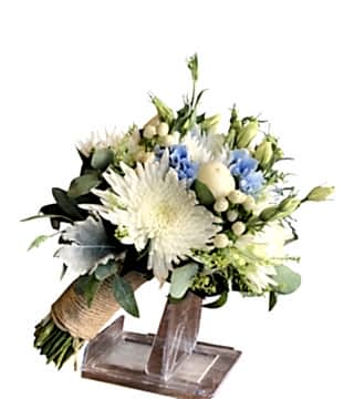 Şık Gelin Çiçeği