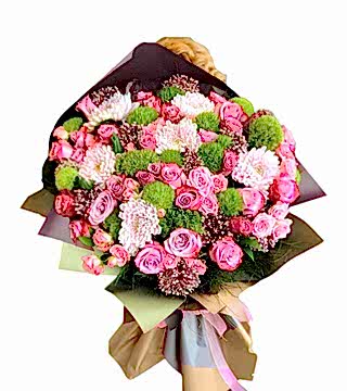 Şık İsteme Çiçeği