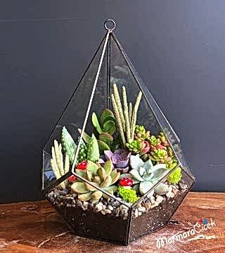 Piramit Camda Sukulent Teraryum