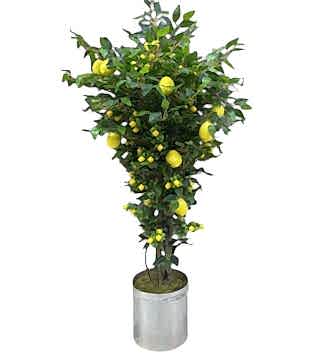 Yapay Limon Ağacı