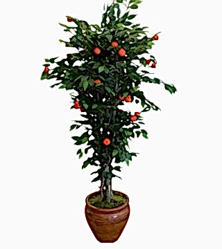 Yapay Mandalina Ağacı