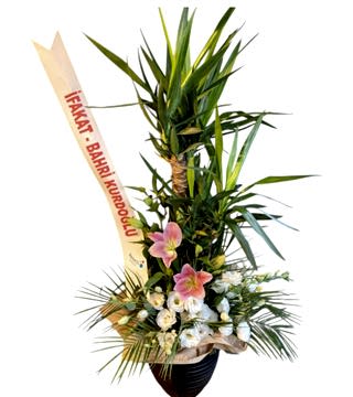 Yucca Bitkisi Fuar Aranjmanı